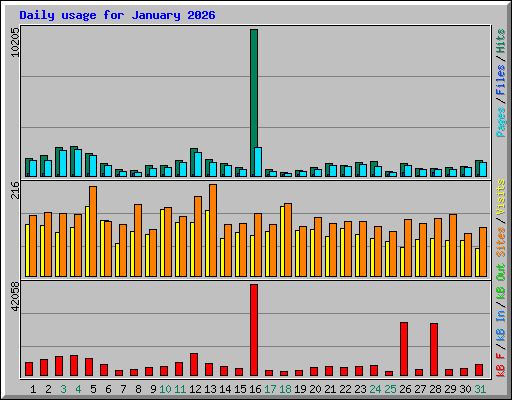 Daily usage for January 2026
