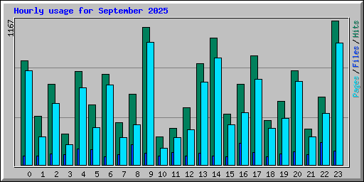 Hourly usage for September 2025