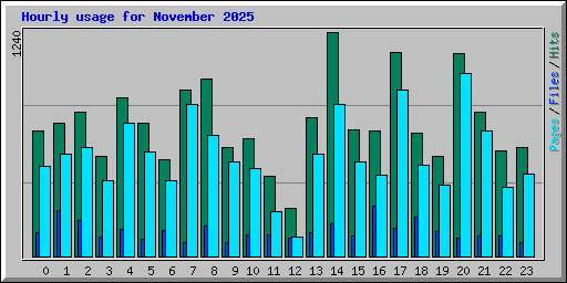 Hourly usage for November 2025