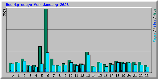Hourly usage for January 2026