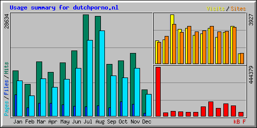 Usage summary for dutchporno.nl
